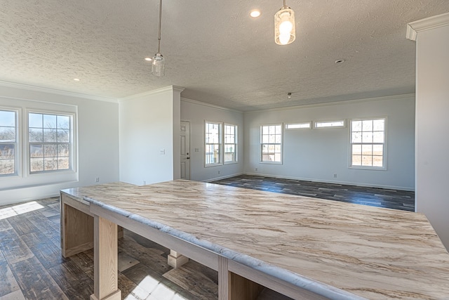 interior space with ornamental molding, dark hardwood / wood-style floors, and a textured ceiling