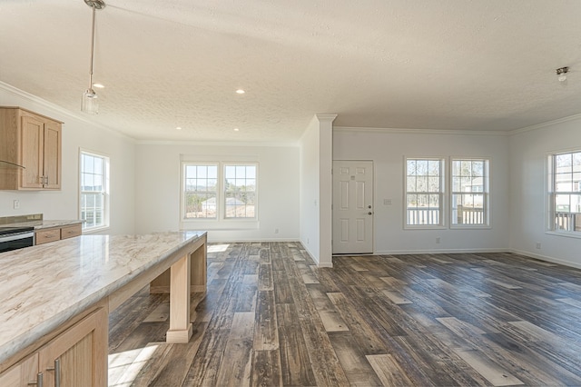 kitchen with light stone counters, crown molding, dark hardwood / wood-style floors, and a textured ceiling