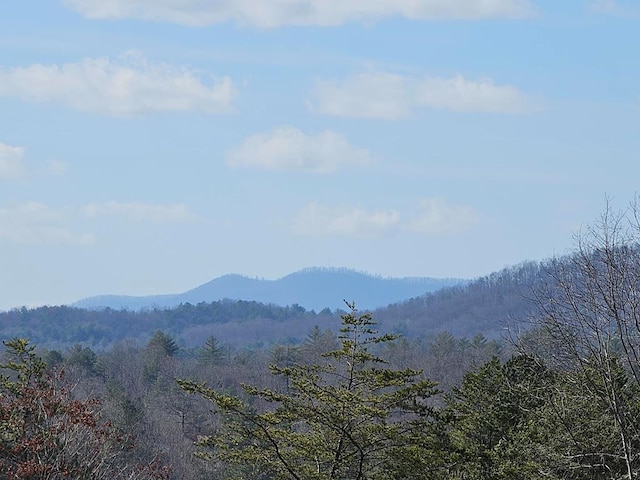 property view of mountains