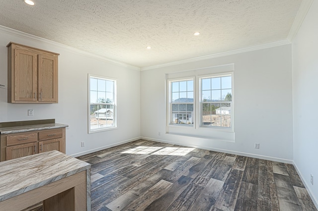 unfurnished dining area with crown molding, dark hardwood / wood-style floors, and a textured ceiling