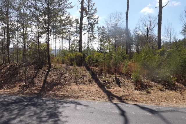 LOT51 Ray Dr, Dblsprings, Young Harris GA, 30582 land for sale