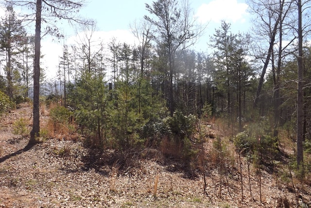 Listing photo 2 for LOT51 Ray Dr, Dblsprings, Young Harris GA 30582