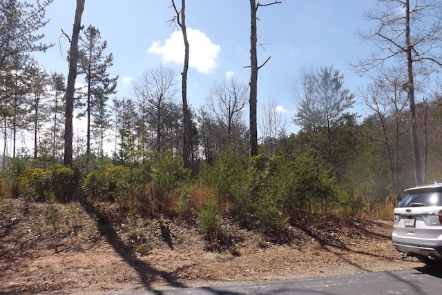 Listing photo 3 for LOT51 Ray Dr, Dblsprings, Young Harris GA 30582