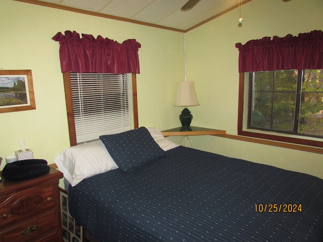 bedroom featuring ornamental molding and vaulted ceiling