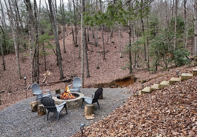 view of yard featuring an outdoor fire pit