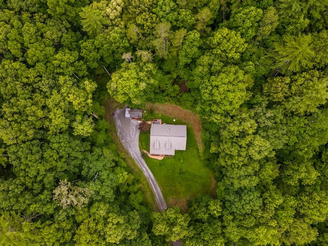 bird's eye view with a forest view