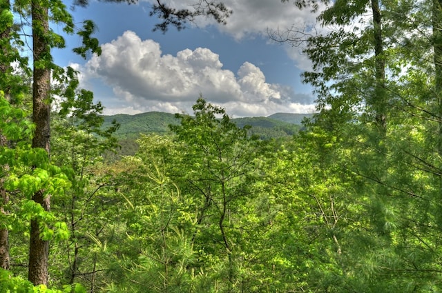 property view of mountains