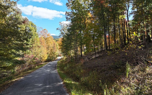 LT15 Fox Xing, Blairsville, GA 30512