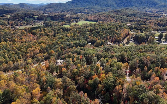 LT15 Fox Xing, Blairsville, GA 30512