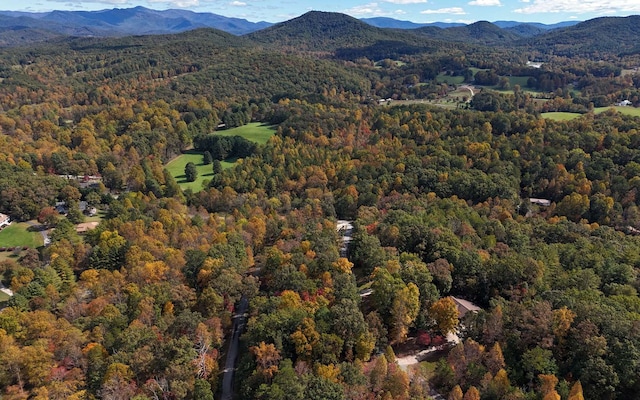LT15 Fox Xing, Blairsville, GA 30512