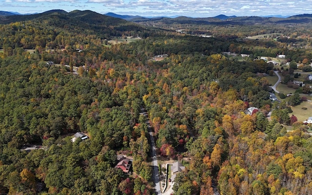 LT15 Fox Xing, Blairsville, GA 30512