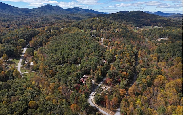 LT15 Fox Xing, Blairsville, GA 30512