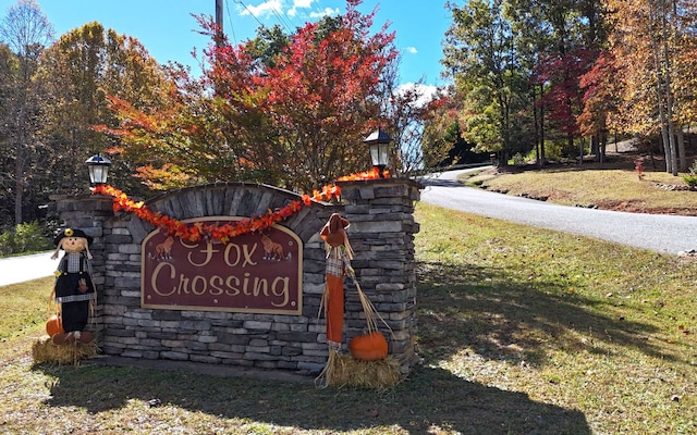 LT15 Fox Xing, Blairsville, GA 30512