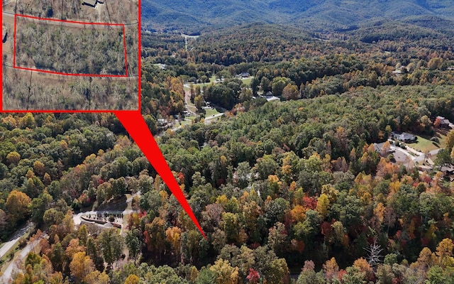 LT15 Fox Xing, Blairsville, GA 30512