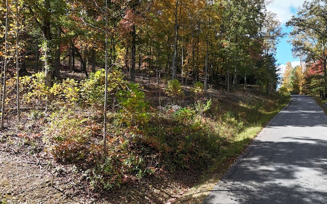 LT15 Fox Xing, Blairsville, GA 30512