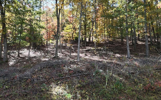 LT15 Fox Xing, Blairsville, GA 30512
