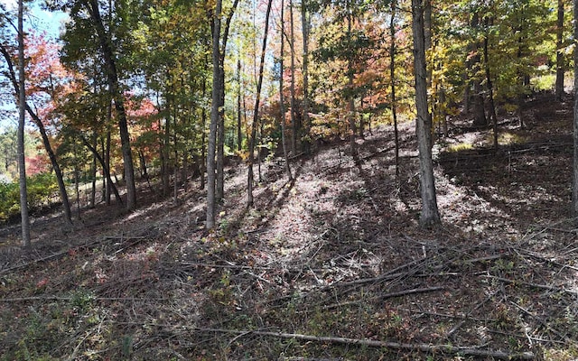 LT15 Fox Xing, Blairsville, GA 30512