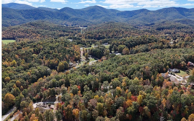 LT15 Fox Xing, Blairsville, GA 30512