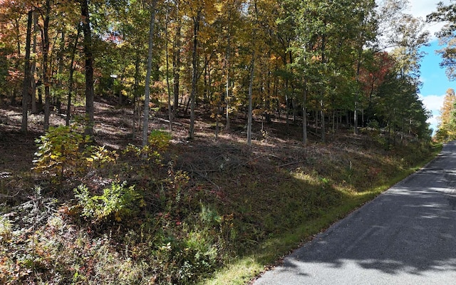 LT15 Fox Xing, Blairsville, GA 30512