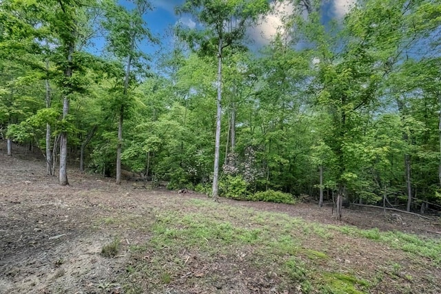 1085 Dills Rd, Blue Ridge, GA 30513 - view of woods
