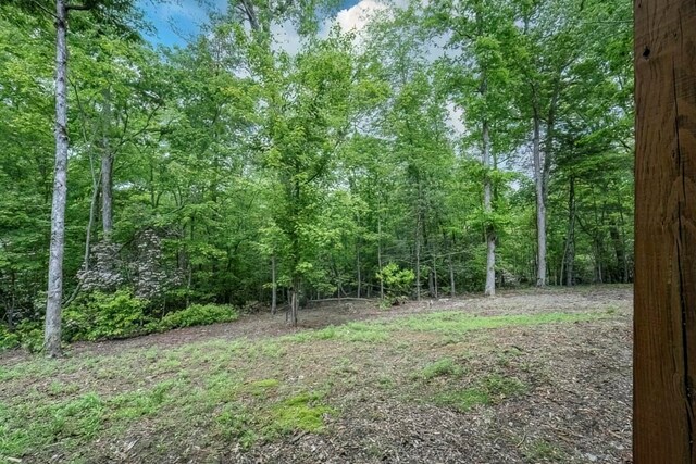 1085 Dills Rd, Blue Ridge, GA 30513 - view of yard with a view of trees