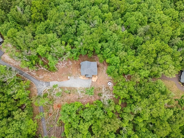 1085 Dills Rd, Blue Ridge, GA 30513 - aerial view of property and surrounding area
