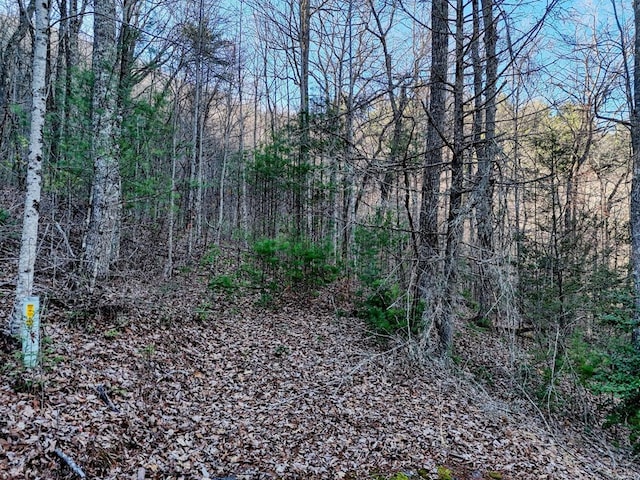 Listing photo 2 for LOT25 Highland Fls, Union GA 30512