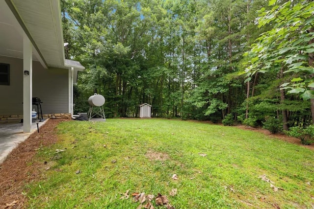 view of yard featuring a storage shed