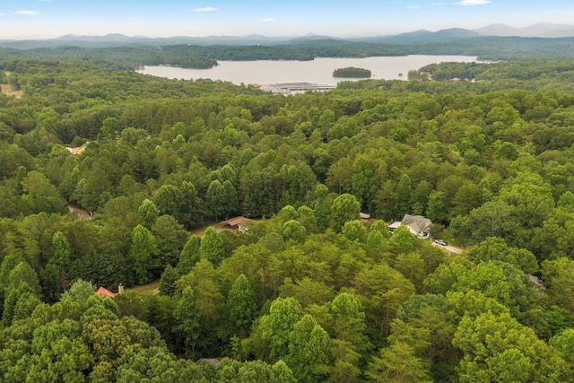 bird's eye view featuring a water and mountain view