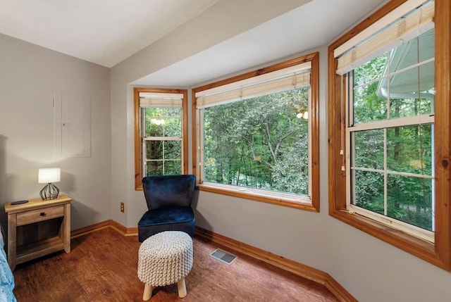 sitting room with dark hardwood / wood-style floors and a wealth of natural light