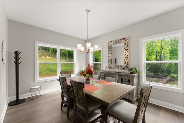 457 Celie Ann Seabolt Rd, Cleveland, GA 30528 - dining room with baseboards, plenty of natural light, a chandelier, and wood finished floors