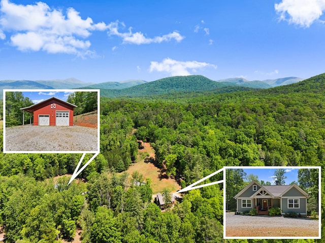 457 Celie Ann Seabolt Rd, Cleveland, GA 30528 - view of mountain background with a heavily wooded area
