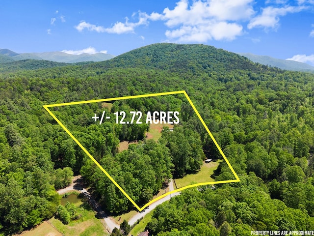 457 Celie Ann Seabolt Rd, Cleveland, GA 30528 - aerial overview of property's location featuring a forest, mountains, and property boundaries highlighted