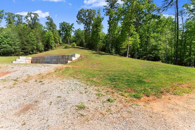 457 Celie Ann Seabolt Rd, Cleveland, GA 30528 - view of yard