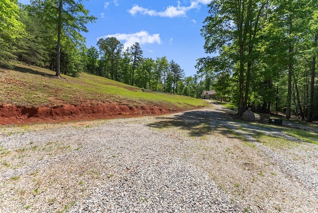 457 Celie Ann Seabolt Rd, Cleveland, GA 30528 - view of dirt / gravel driveway