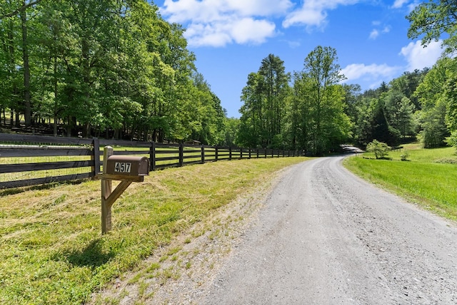 457 Celie Ann Seabolt Rd, Cleveland, GA 30528 - view of road featuring a rural view