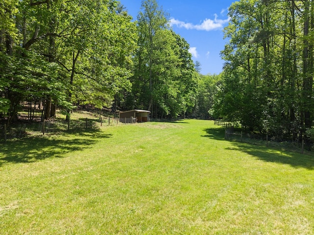 457 Celie Ann Seabolt Rd, Cleveland, GA 30528 - view of yard