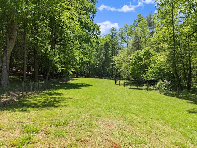 457 Celie Ann Seabolt Rd, Cleveland, GA 30528 - view of yard