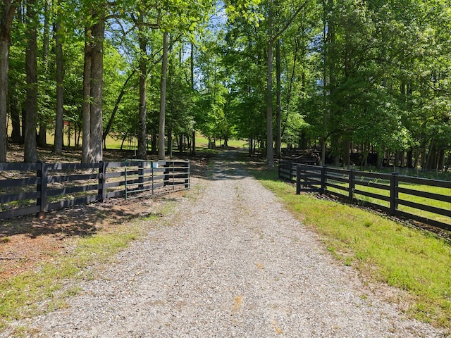 457 Celie Ann Seabolt Rd, Cleveland, GA 30528 - view of street