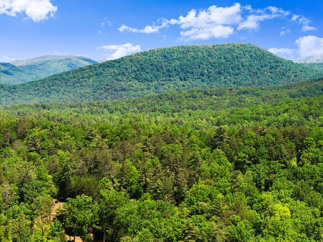 457 Celie Ann Seabolt Rd, Cleveland, GA 30528 - mountain view with a forest