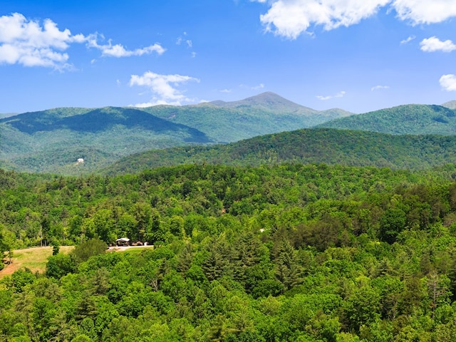 457 Celie Ann Seabolt Rd, Cleveland, GA 30528 - mountain view with a heavily wooded area
