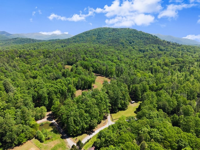 457 Celie Ann Seabolt Rd, Cleveland, GA 30528 - drone / aerial view of a forest and a mountainous background