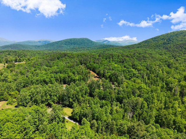 457 Celie Ann Seabolt Rd, Cleveland, GA 30528 - mountain view featuring a heavily wooded area