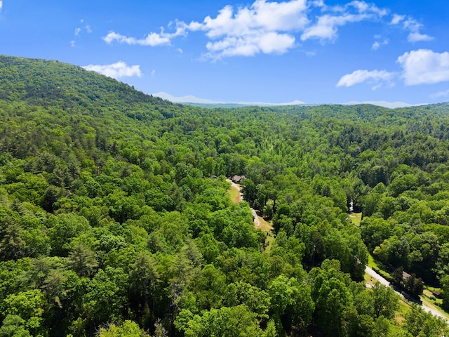 457 Celie Ann Seabolt Rd, Cleveland, GA 30528 - bird's eye view of a heavily wooded area
