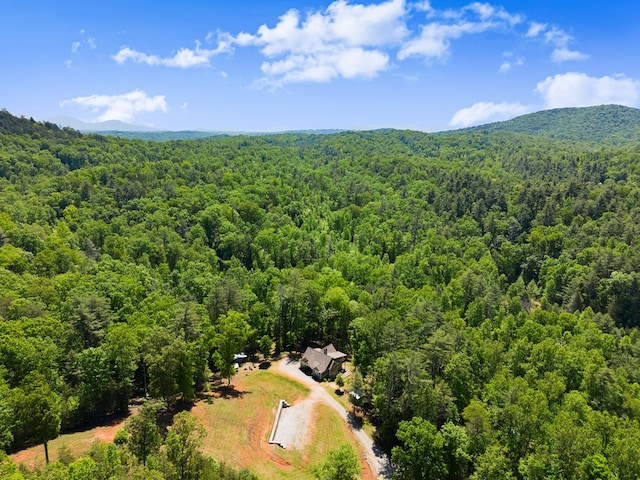 457 Celie Ann Seabolt Rd, Cleveland, GA 30528 - aerial view of a forest and a mountain backdrop