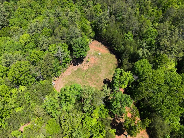 457 Celie Ann Seabolt Rd, Cleveland, GA 30528 - aerial view of a forest