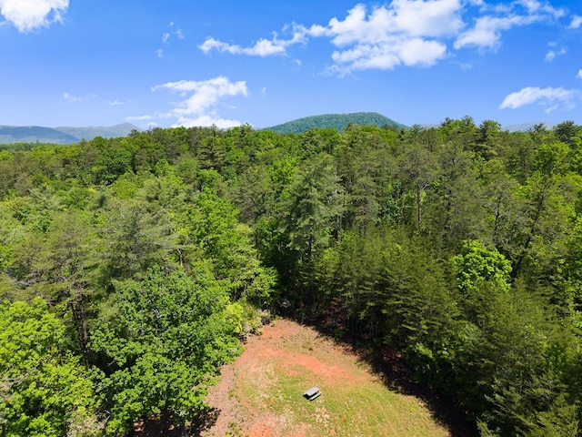 457 Celie Ann Seabolt Rd, Cleveland, GA 30528 - drone / aerial view of a heavily wooded area and a mountain backdrop