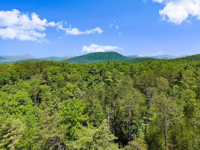 457 Celie Ann Seabolt Rd, Cleveland, GA 30528 - mountain view with a heavily wooded area