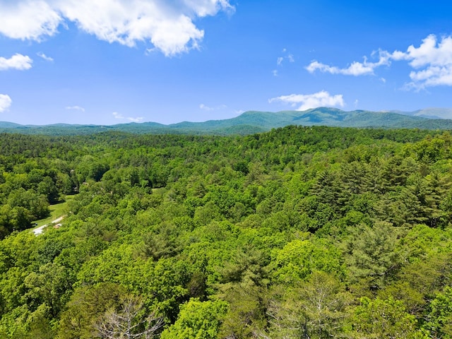 457 Celie Ann Seabolt Rd, Cleveland, GA 30528 - view of mountain background featuring a heavily wooded area