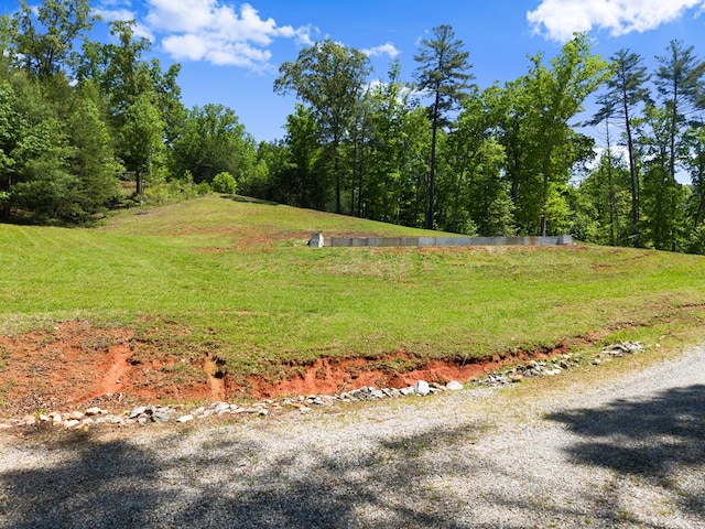 457 Celie Ann Seabolt Rd, Cleveland, GA 30528 - view of yard